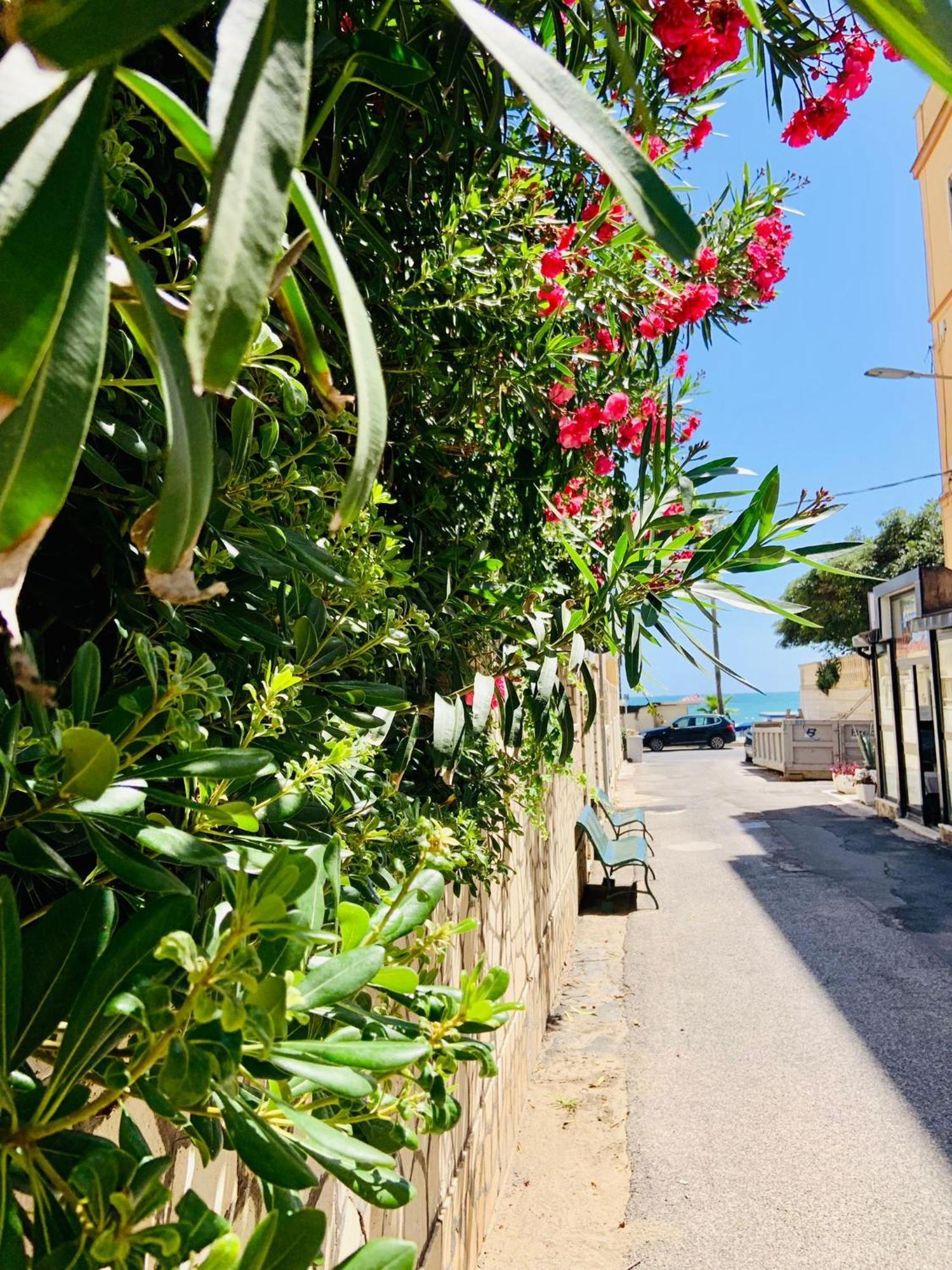La Casina Sul Porto Διαμέρισμα Άντζιο Εξωτερικό φωτογραφία